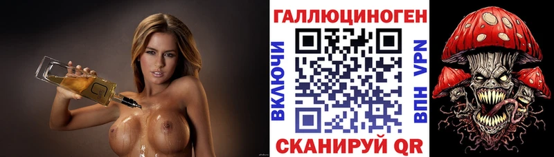Купить  Талица  Галлюциногенные грибы Cubensis 